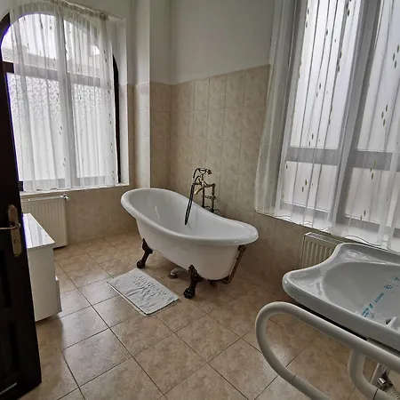 Hotel Carol 4*