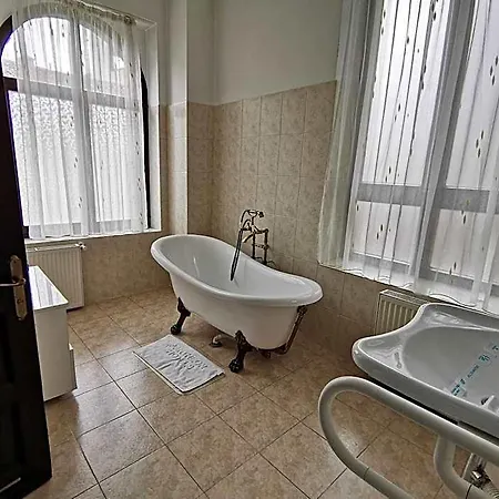 Hotel Carol 4*